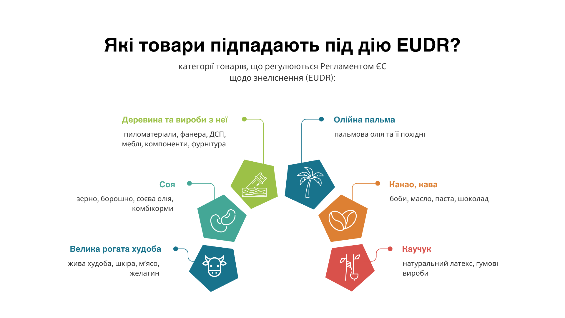 Перелік категорій продукції, на які поширюється дія EUDR: деревина, кава, какао, соя, пальмова олія, каучук, велика рогата худоба