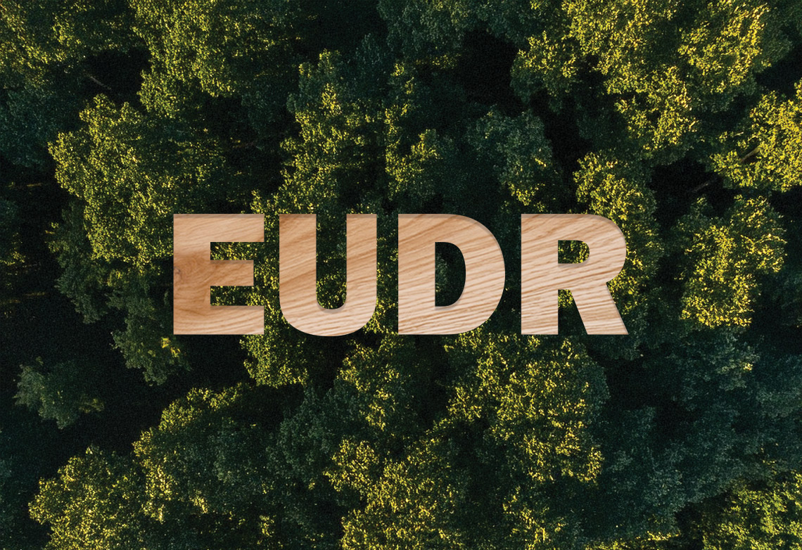 EUDR на фоні лісу — символ вимог ЄС до продукції без знеліснення